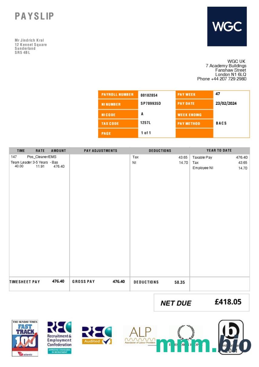 United Kingdom WGC cleaning service payslip template in Word and PDF formats